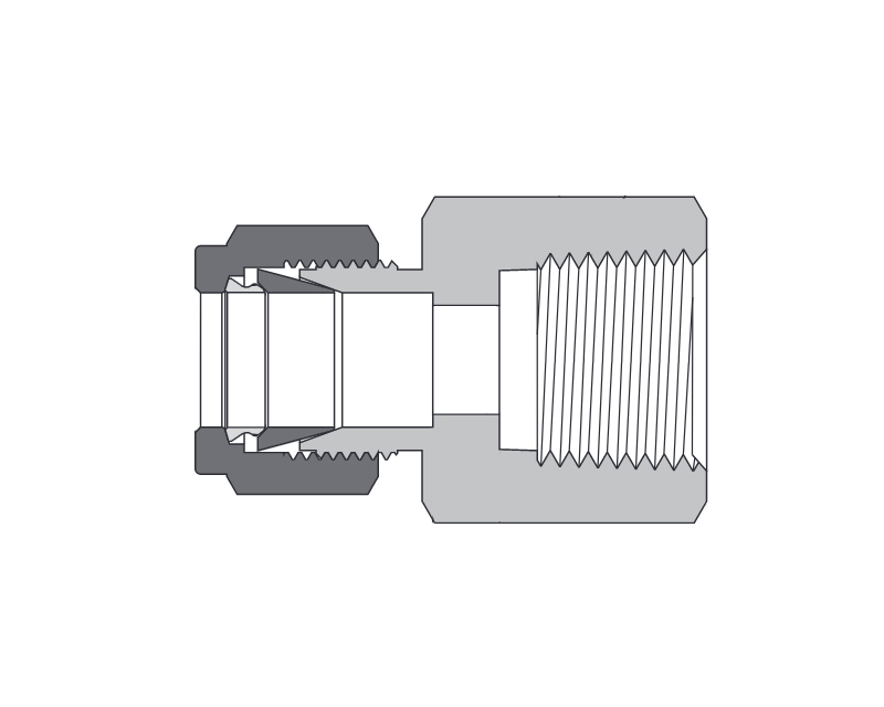 Female Connector, Brass, 12mm Tube OD, 2-Ferrule x  1/2in. (F)NPT
