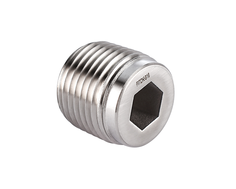 316 SS, Pipe Fitting, Hollow Hex Plug, 1/8&quot; Male ISO Tapered Pipe Thread