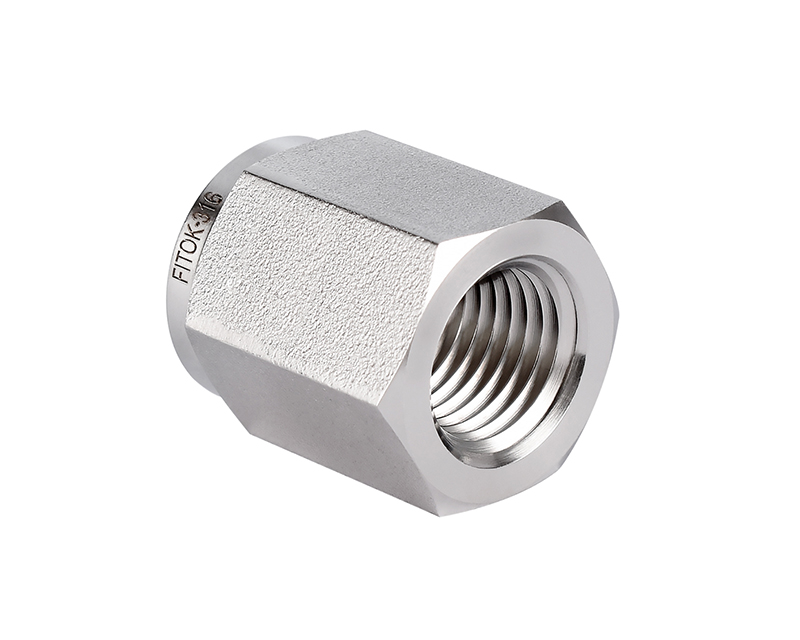 316 SS Pipe Fitting, Pipe Cap, 1&quot; Female BSPT (RT) 