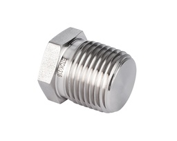 [SS-PP-RT8] 316 SS Pipe Fitting, 1/2&quot;  Male ISO Tapered Thread Plug,Hex Head Type